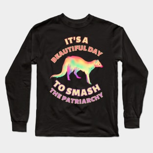 Beautiful Day to Smash the Patriarchy Ferret Long Sleeve T-Shirt